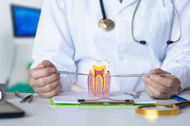 Best After-Hours Dental Trauma Care in Ladonia, AL